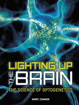 cover image of Lighting Up the Brain